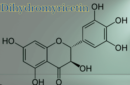 Who Should Exercise Caution with Dihydromyricetin.png